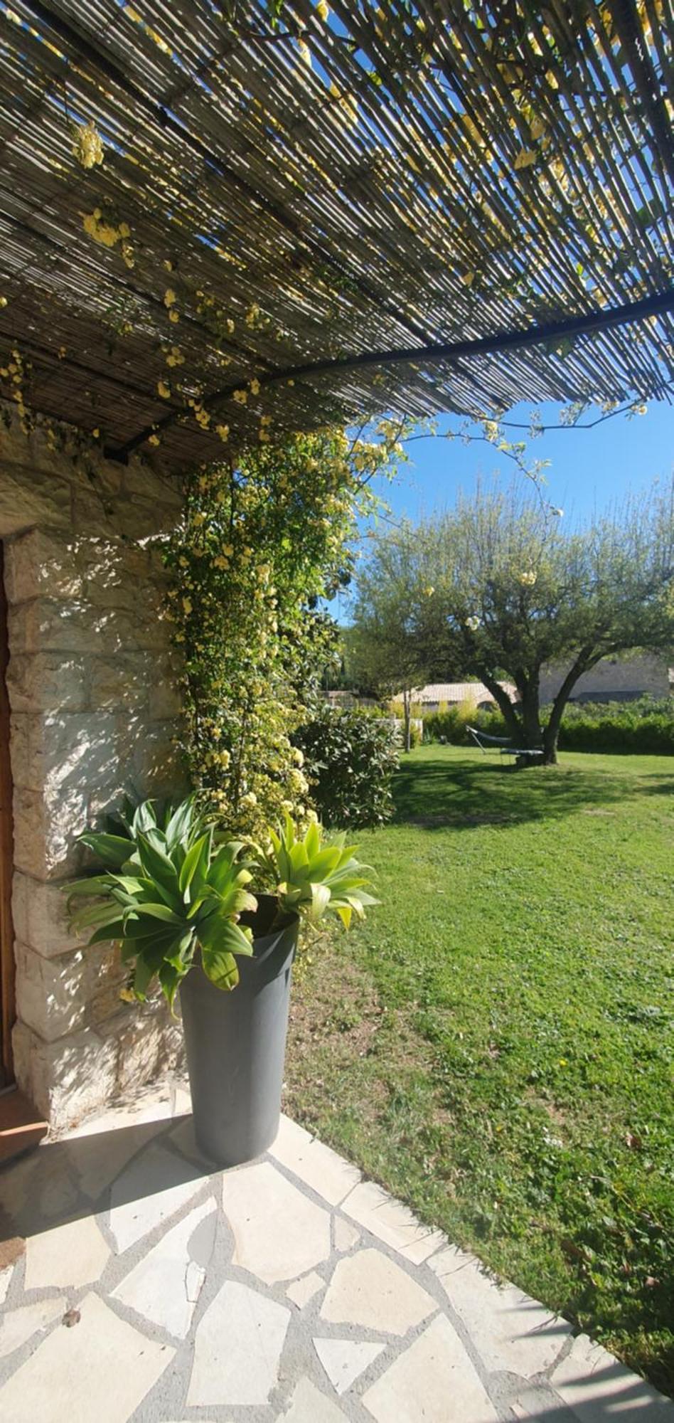 Chez Dom & Albert Saint-Cézaire-sur-Siagne Екстериор снимка